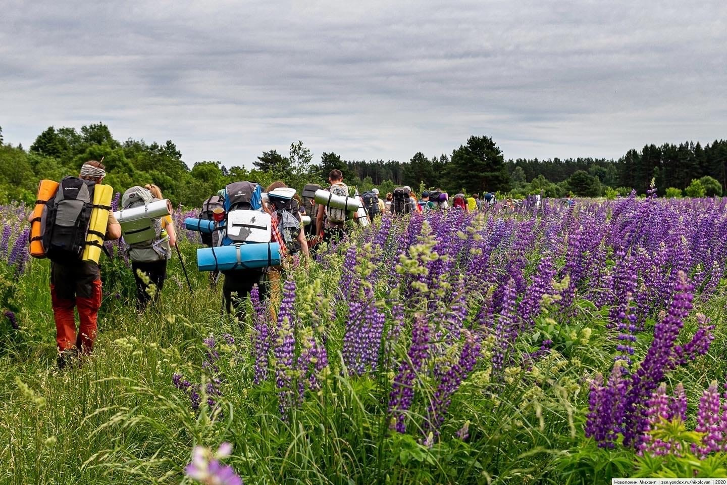 Путешествия. Репортажный фотограф Михаил Наволокин Москва