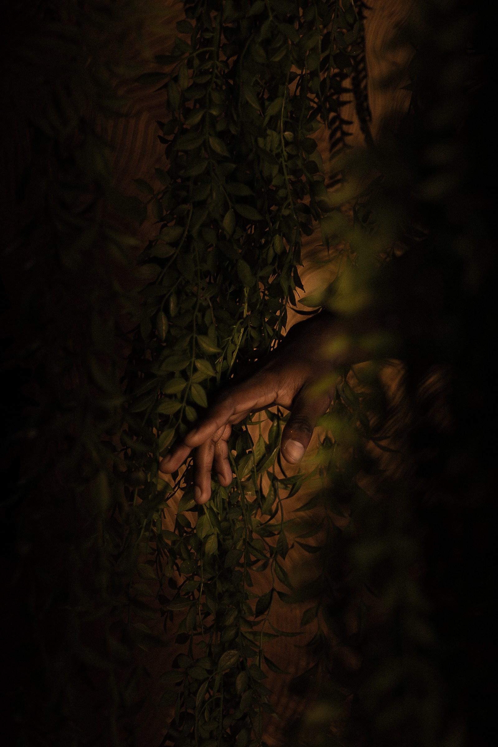 Фотограф на вечеринку спб. VERSLIBRE | Свадебный и репортажный фотограф в Санкт-Петербурге, Москве, и Поволжье