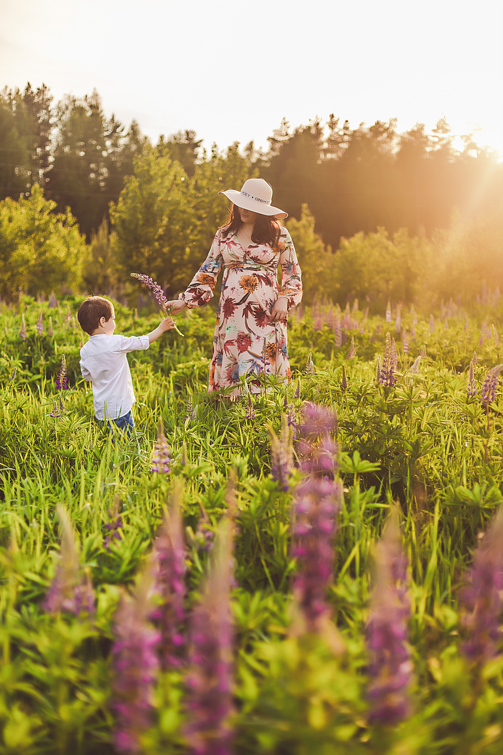 Семейная фотосессия в поле
