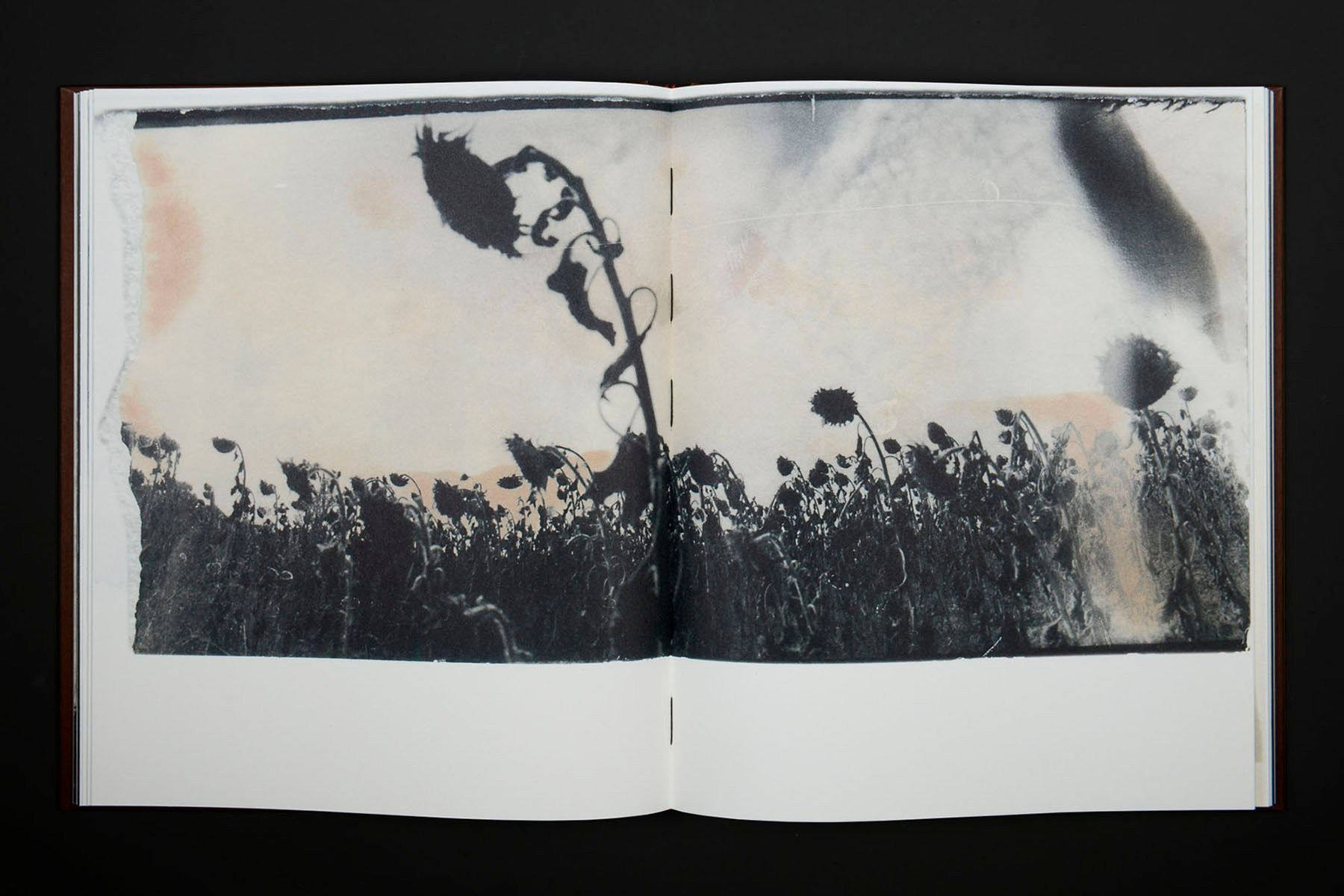 Книга Вика Бакина (Vic Bákin) «Epitome». Private image