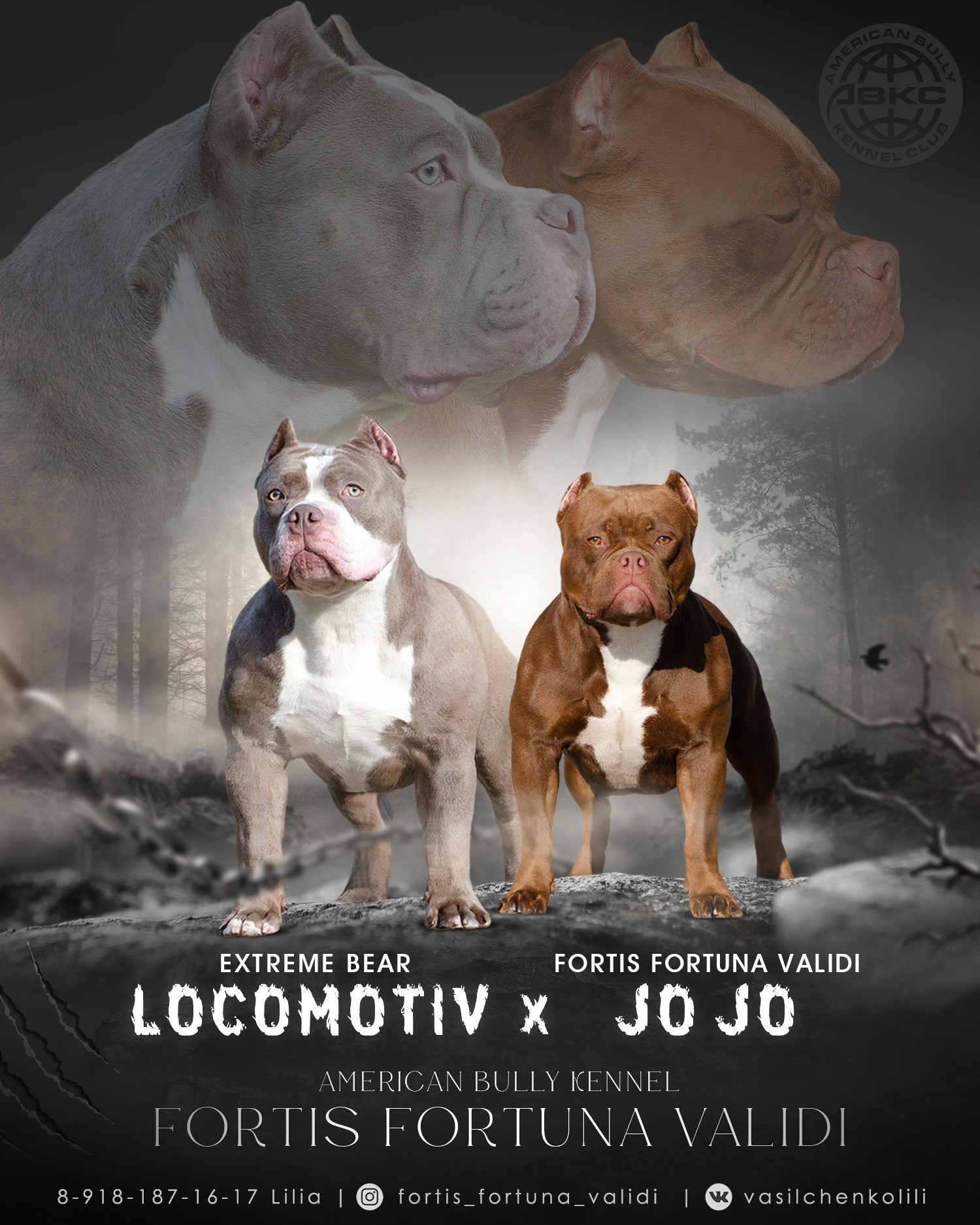 JO JO и LOCOMOTIV, презентация американских булли 