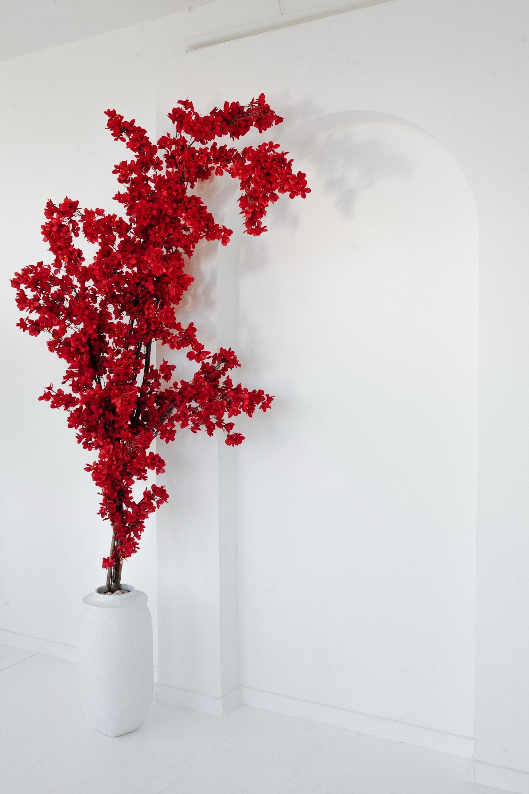 Лучшие фотостудии Липецка. Свадебный и семейный фотограф в Липецке Натали Бриз