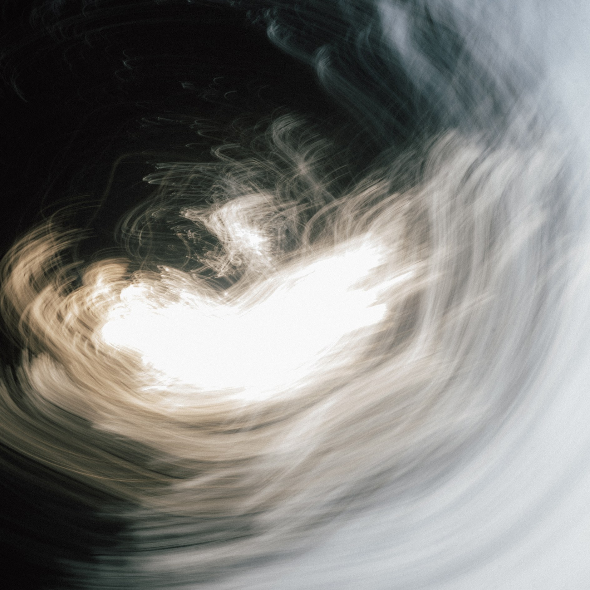 Walk. VISUAL ARTIST · KRONGAUZ ANASTASIA