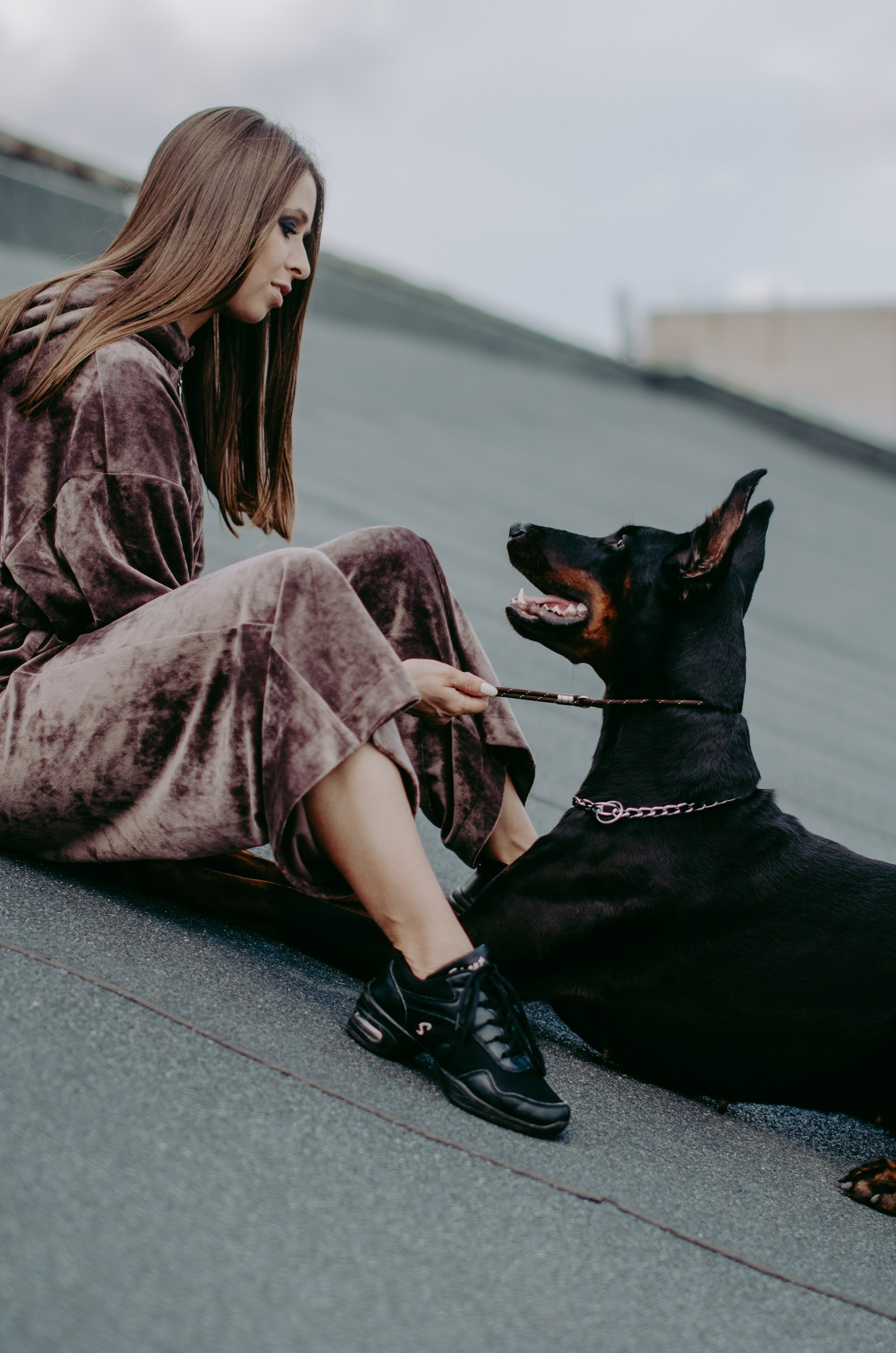 Съемка с доберманом