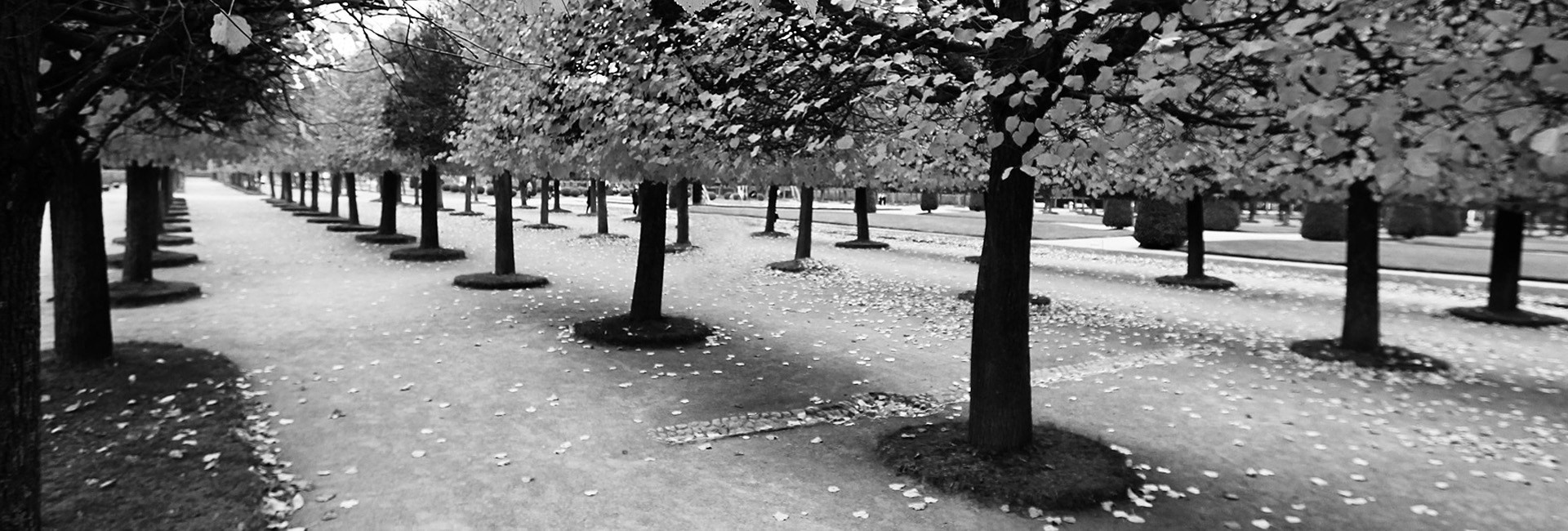 Клуб Петербургских любителей фотографии