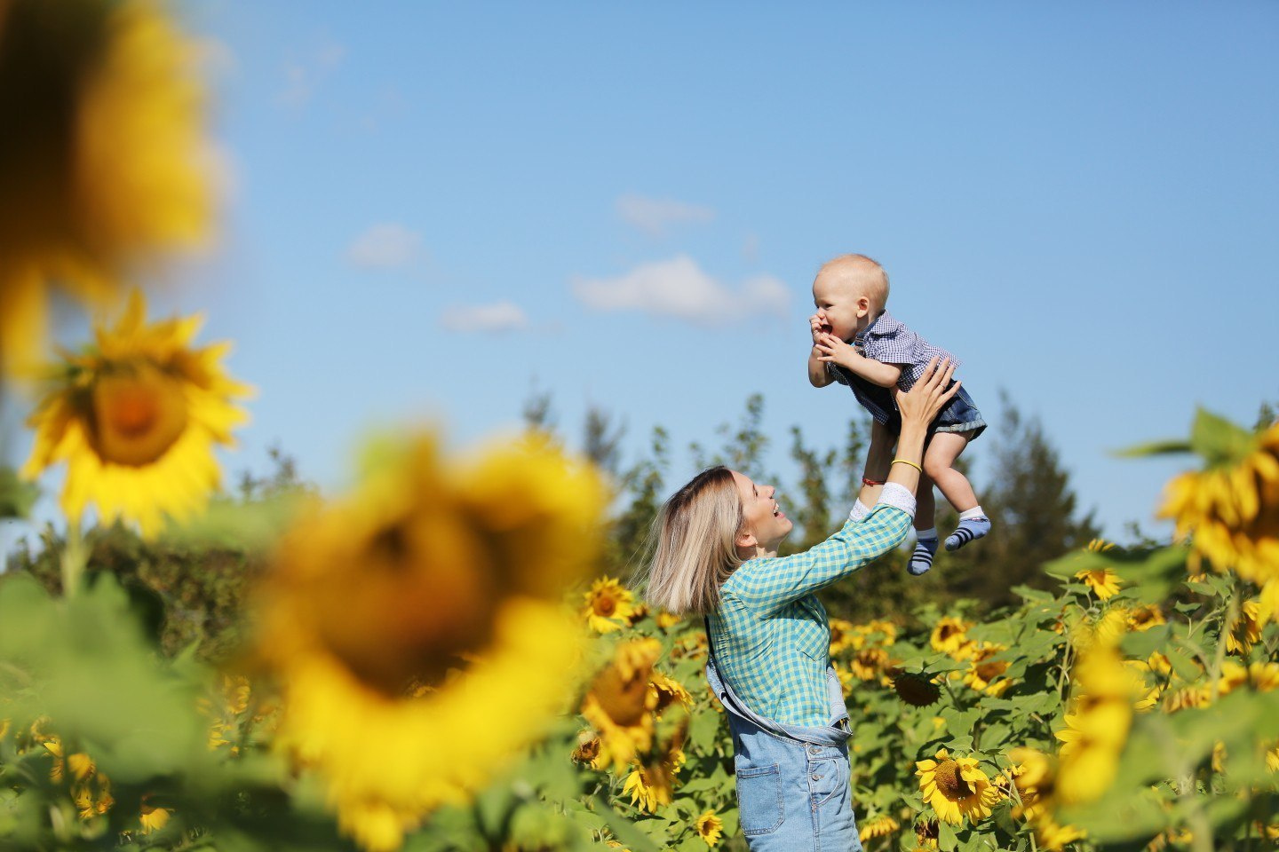 ПОДСОЛНУХОВОЕ НАСТРОЕНИЕ)
