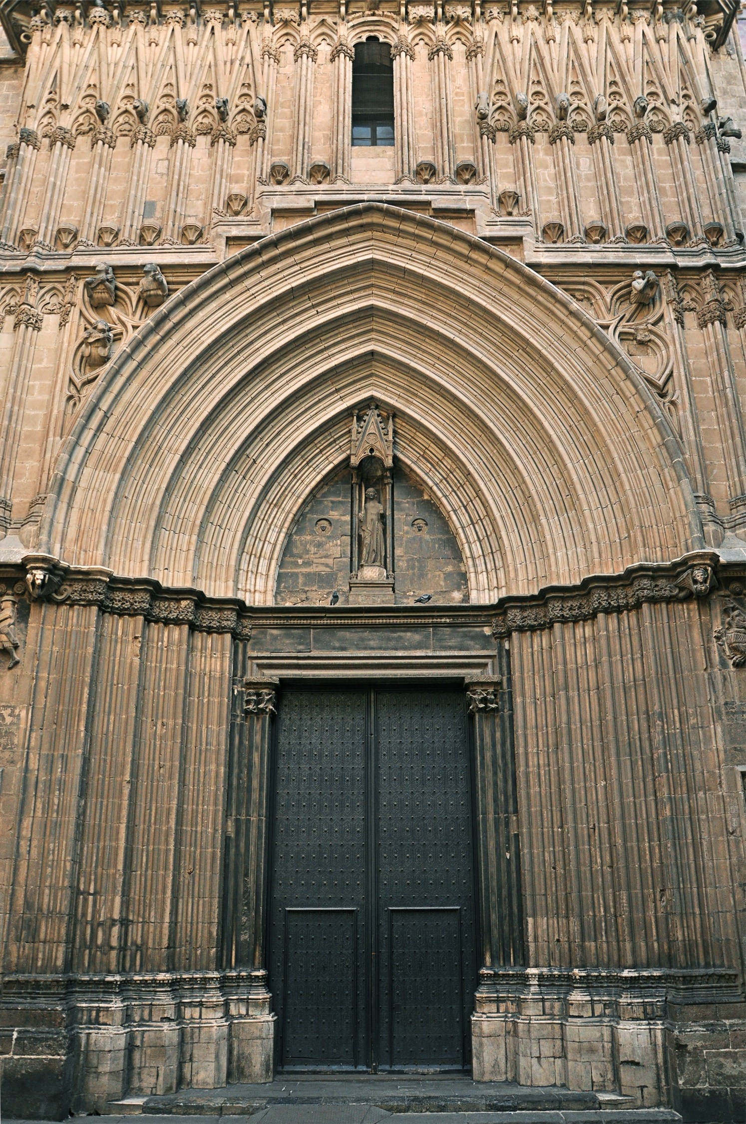 Плеханов Вадим фотограф Санкт-Петербург, концерты, корпоративы, спорт