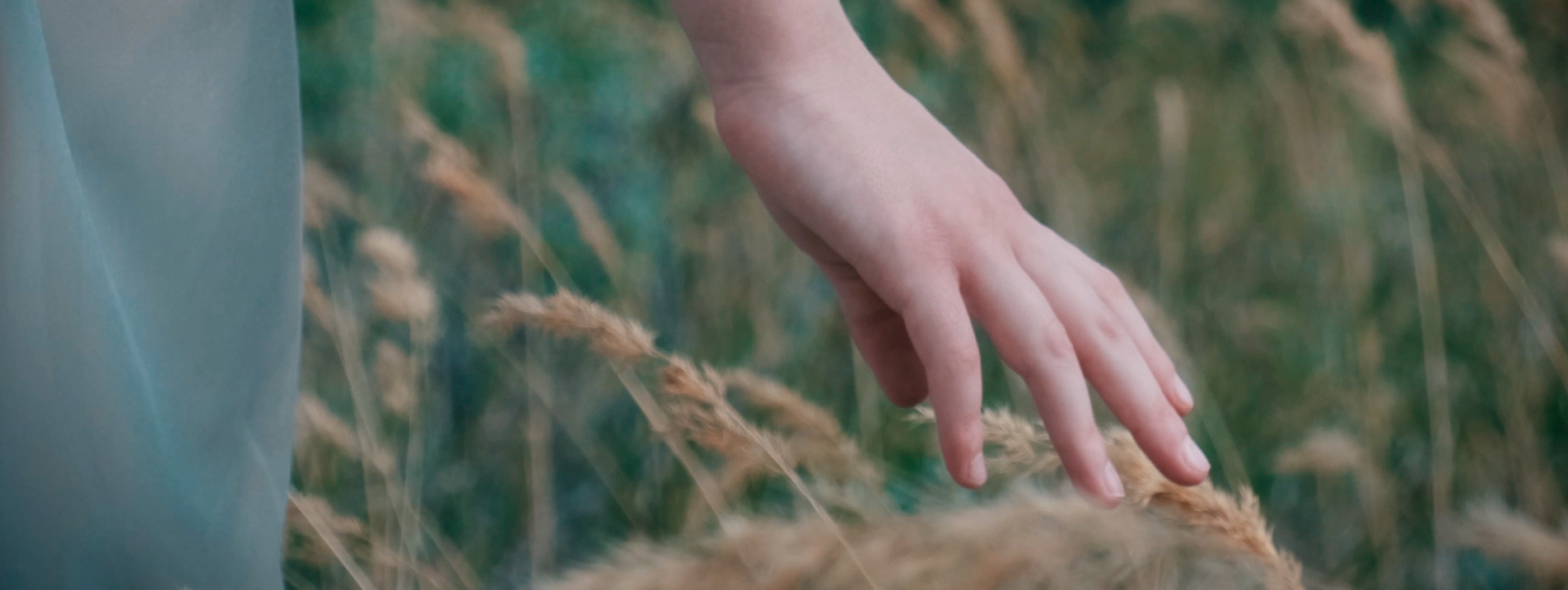 Клипы. Видеограф Новосибирск Сибирь Алтай. Илья Натворил