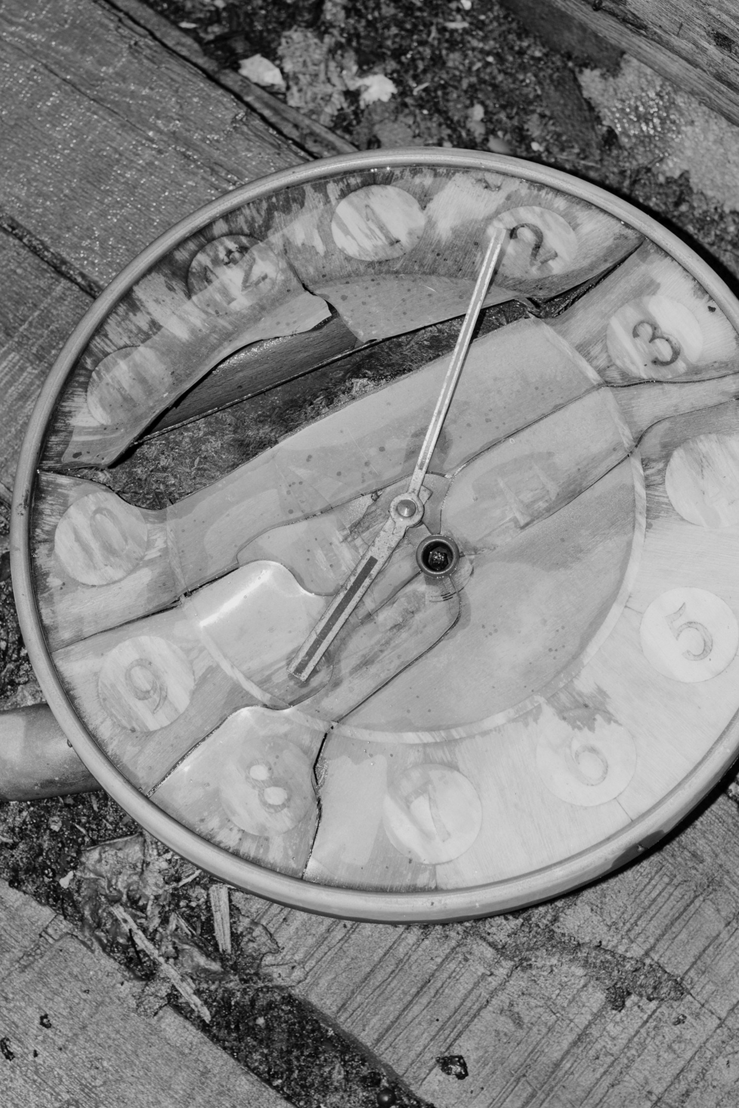 Train to the Future. Kristina Sergeeva