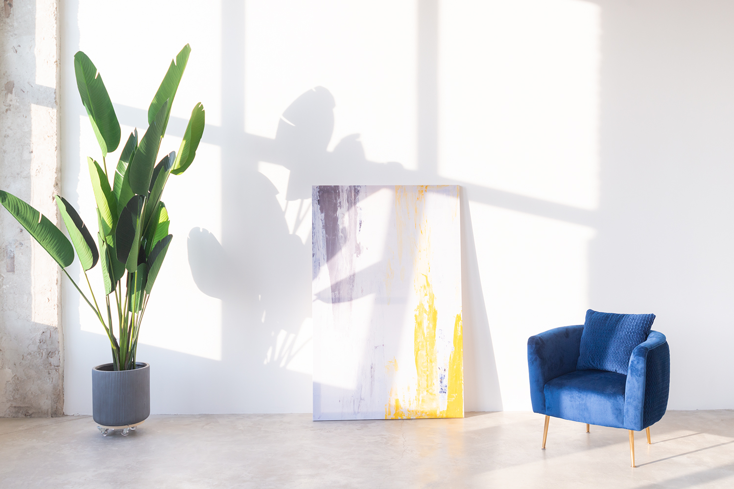 Лучшие фотостудии Москвы. Фото и видео Москва, Московский. Свадебный фотограф, видеограф, фотосессии, видеосъемка