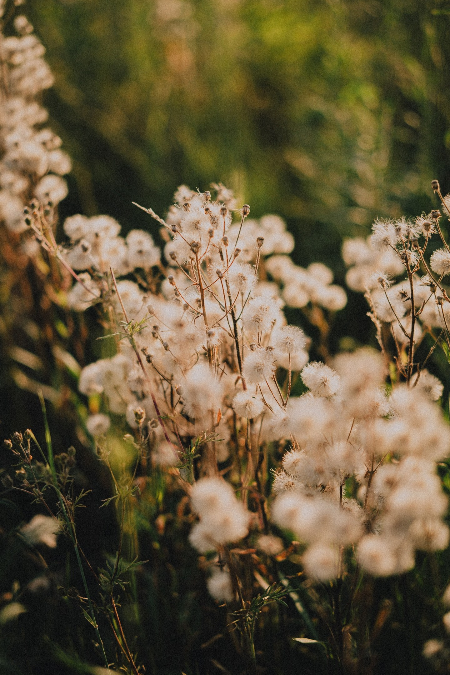 Максим и Наталья Фёдоровы — Портретные и свадебные фотографы в Хабаров