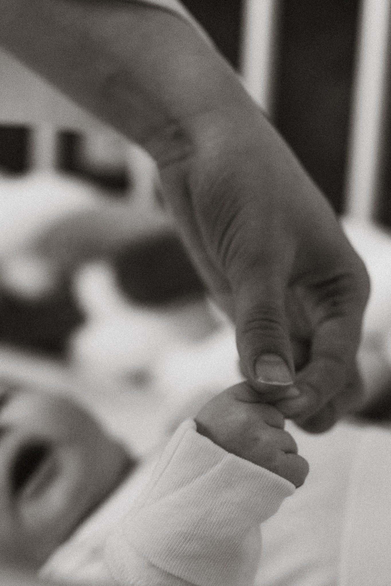 Портфолио. Семейный и свадебный фотограф в Екатеринбурге Светлана Жаркова