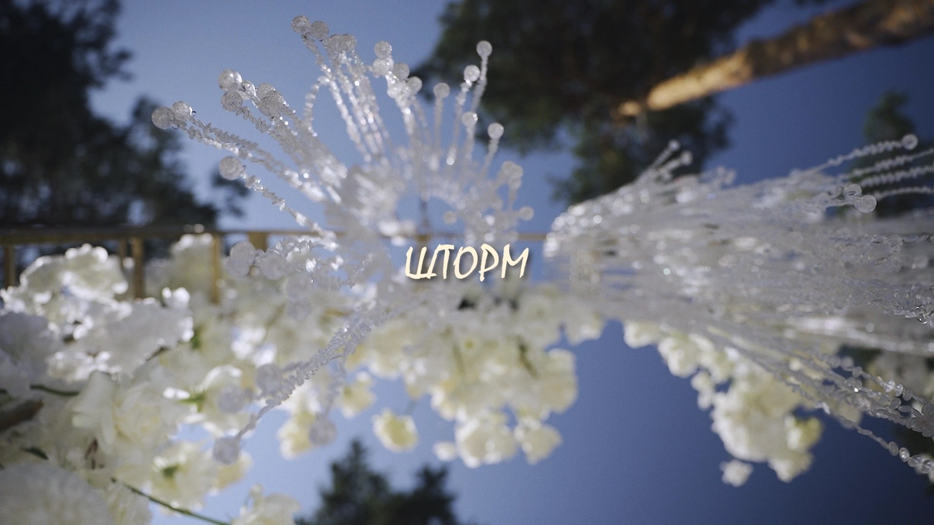 Портфолио. Видеограф | Санкт-Петербург