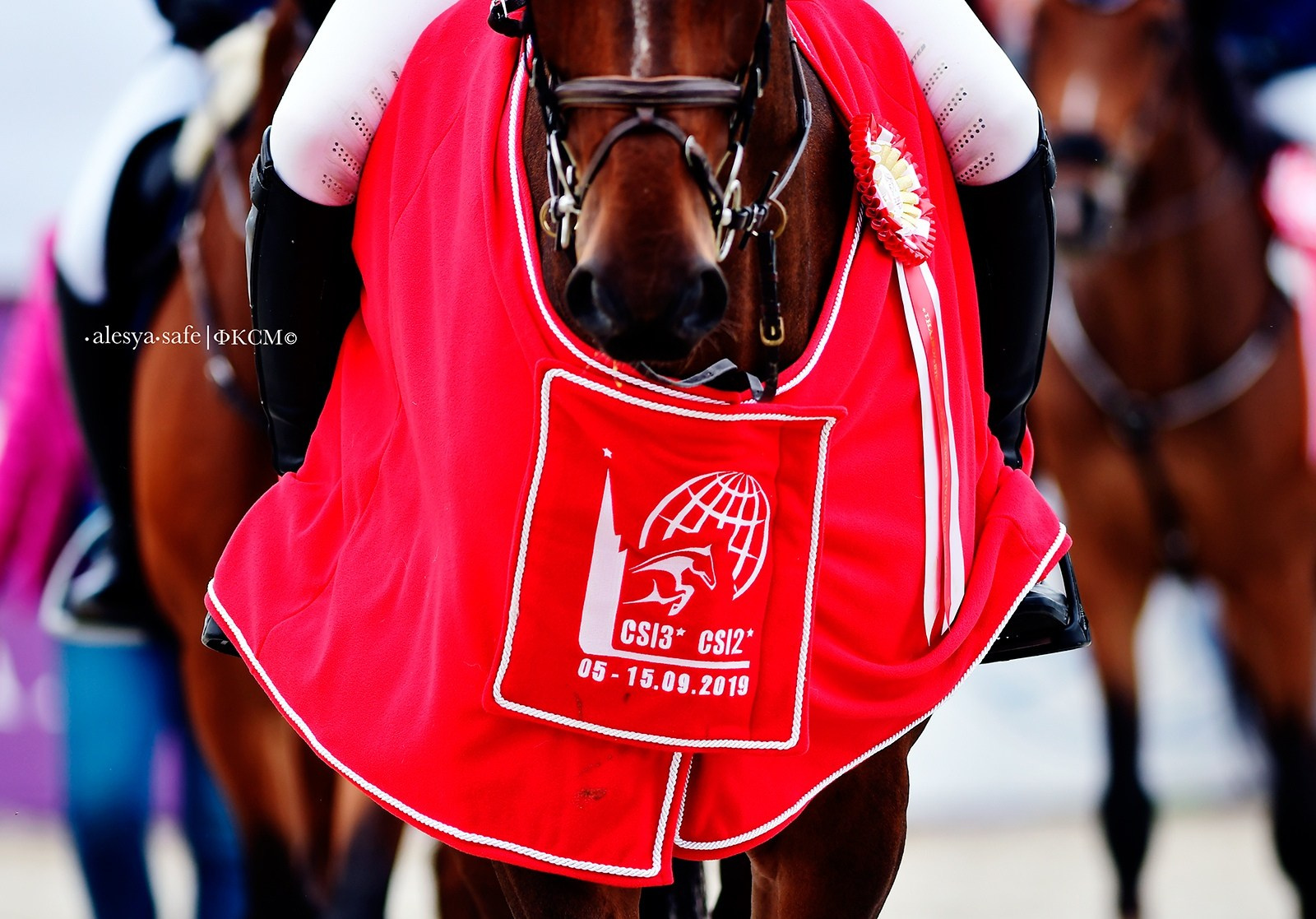 Кск Битца. Конный фотограф Alesya Safe