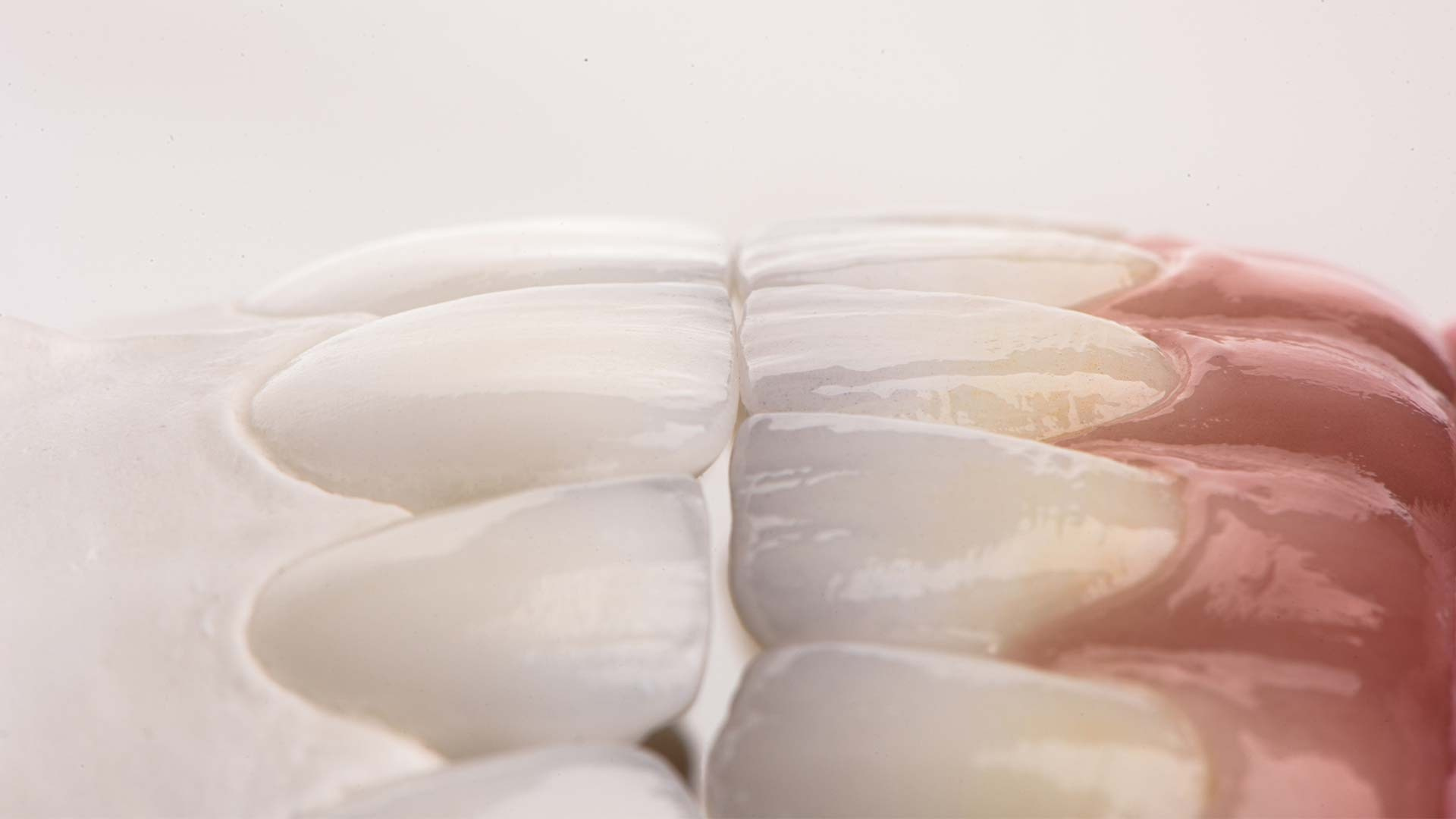 Онлайн-курс Dental Photo PRO: теория, практика, применение