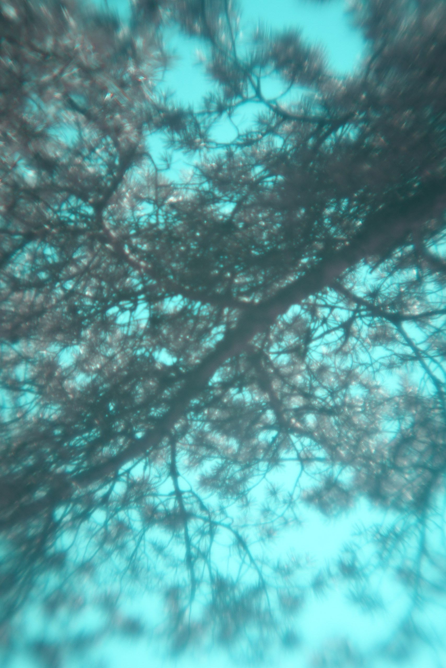 Соня Ляховская, Павловск. FOTOFAQ SKOOL г. Санкт-Петербург: очные, дистанционные и онлайн курсы фотографии