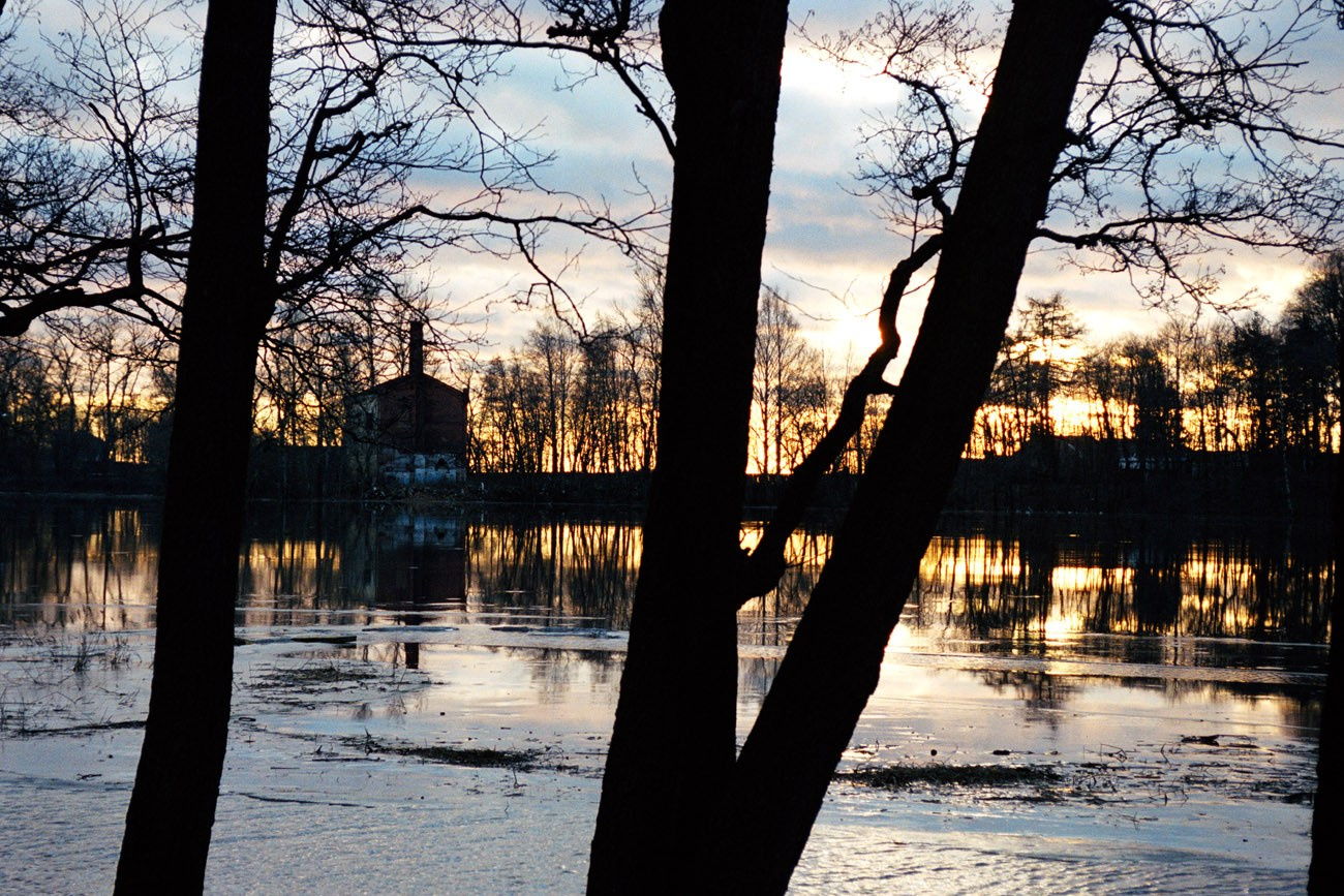 Art Series. Елена Цихон художник фотографии и мастер фото-ДНК