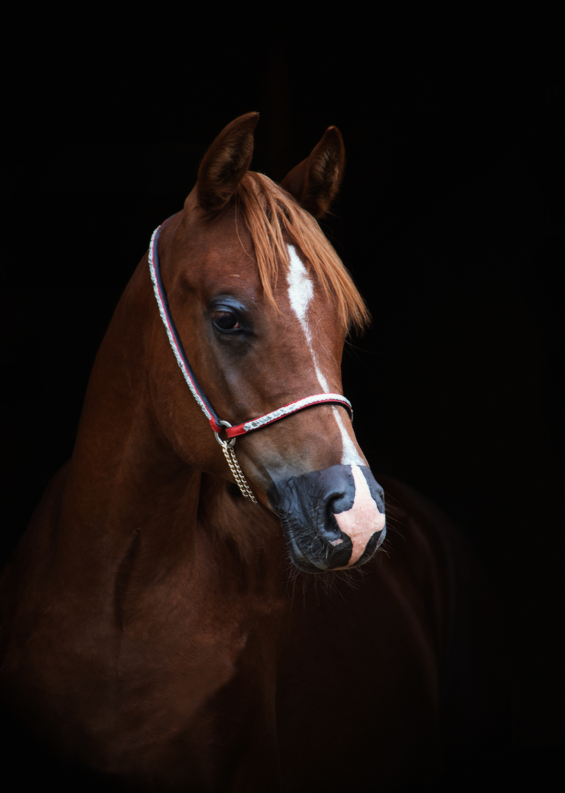 Истории. Фотограф в Москве Дудкова Юлия