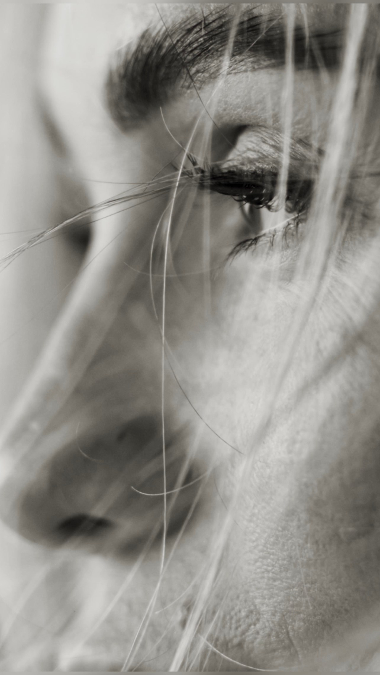 СВАДЕБНЫЙ ВИДЕОГРАФ В ЧЕЛЯБИНСКЕ И ЕКАТЕРИНБУРГЕ