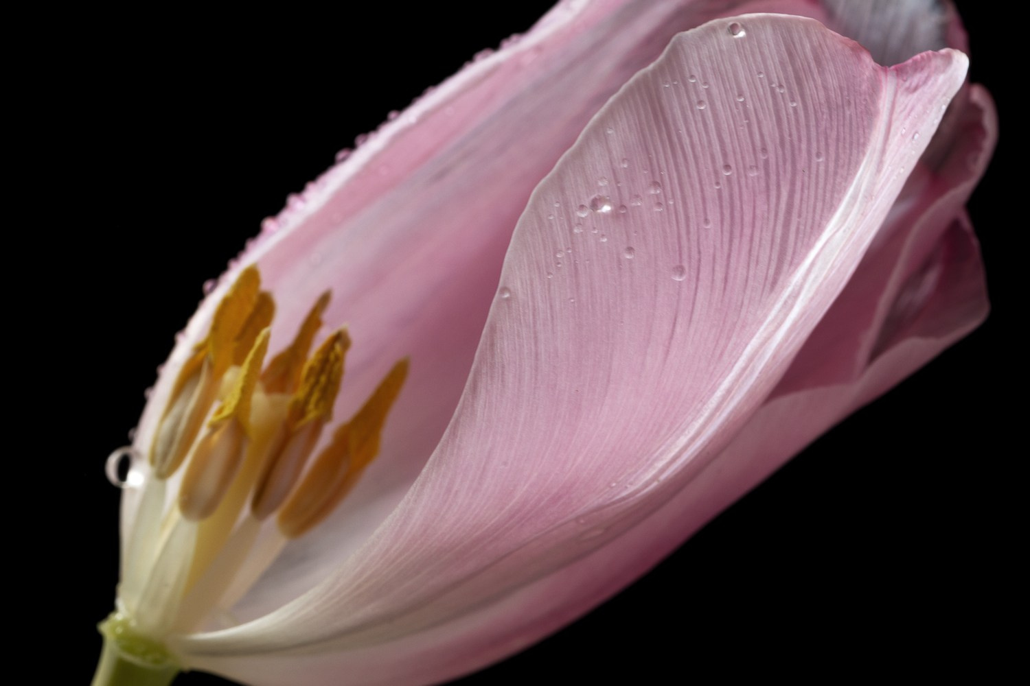 About me. Author’s fine art prints with international delivery