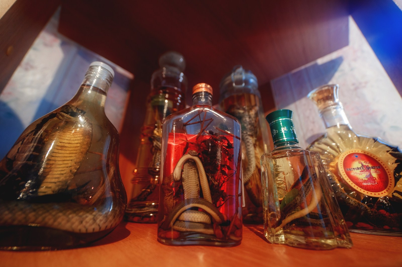 Музей Гадов