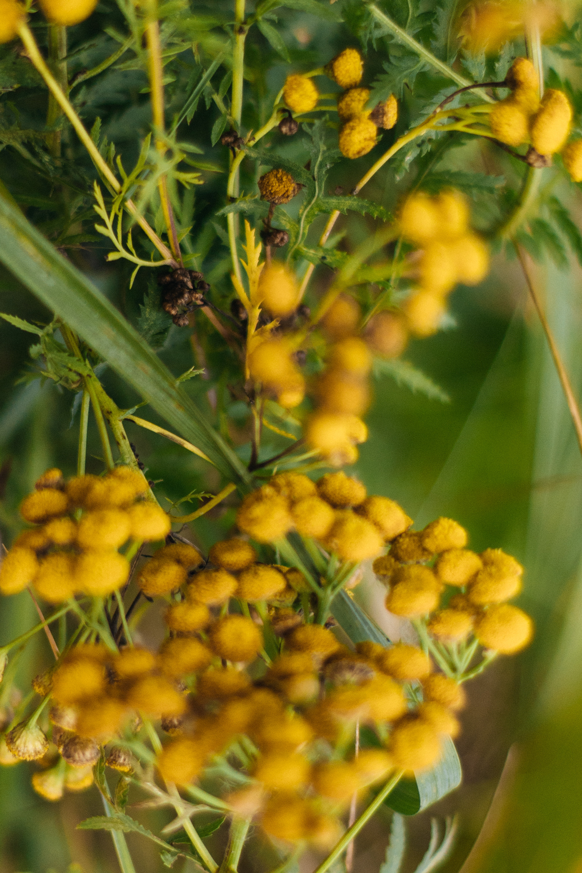 Аня. Света Полетаева Москва