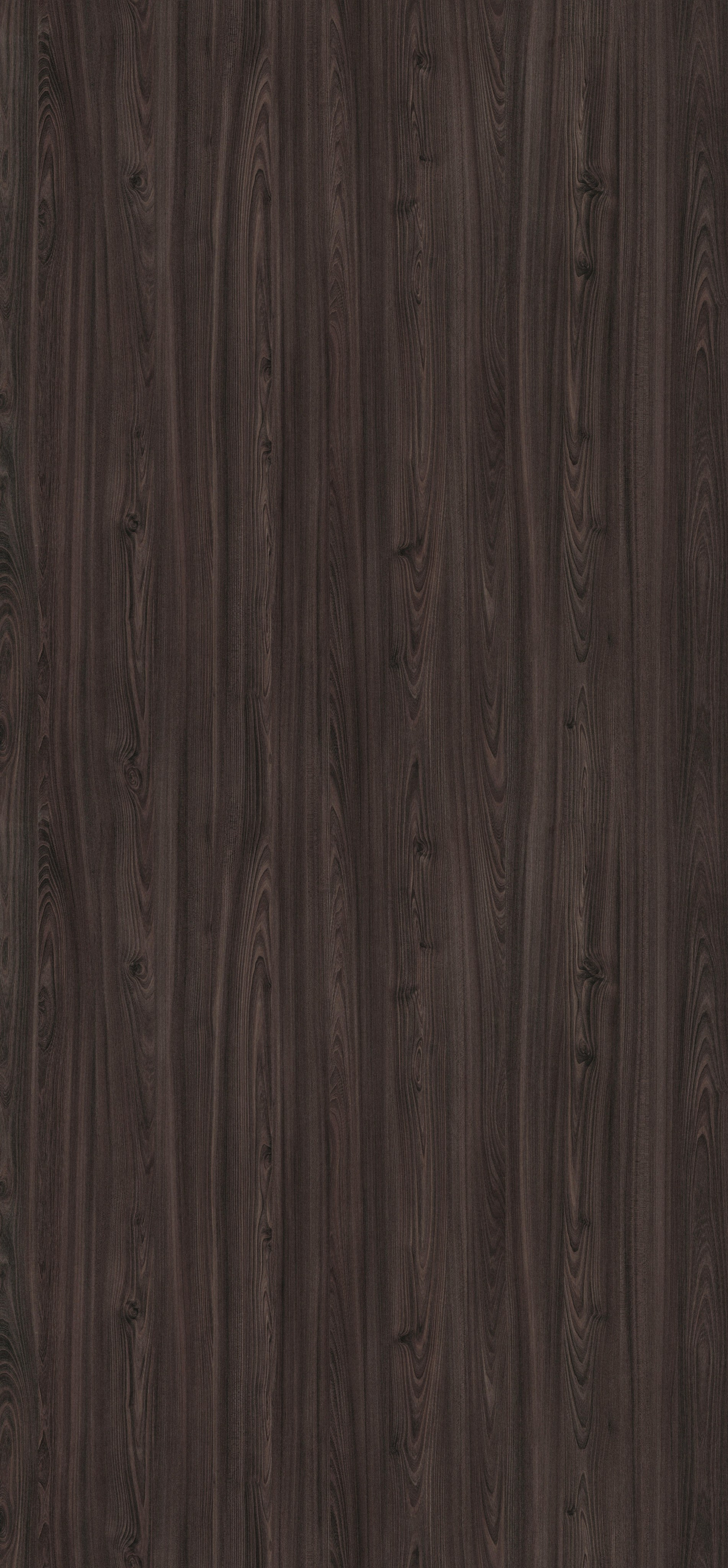 EGGER. Главная