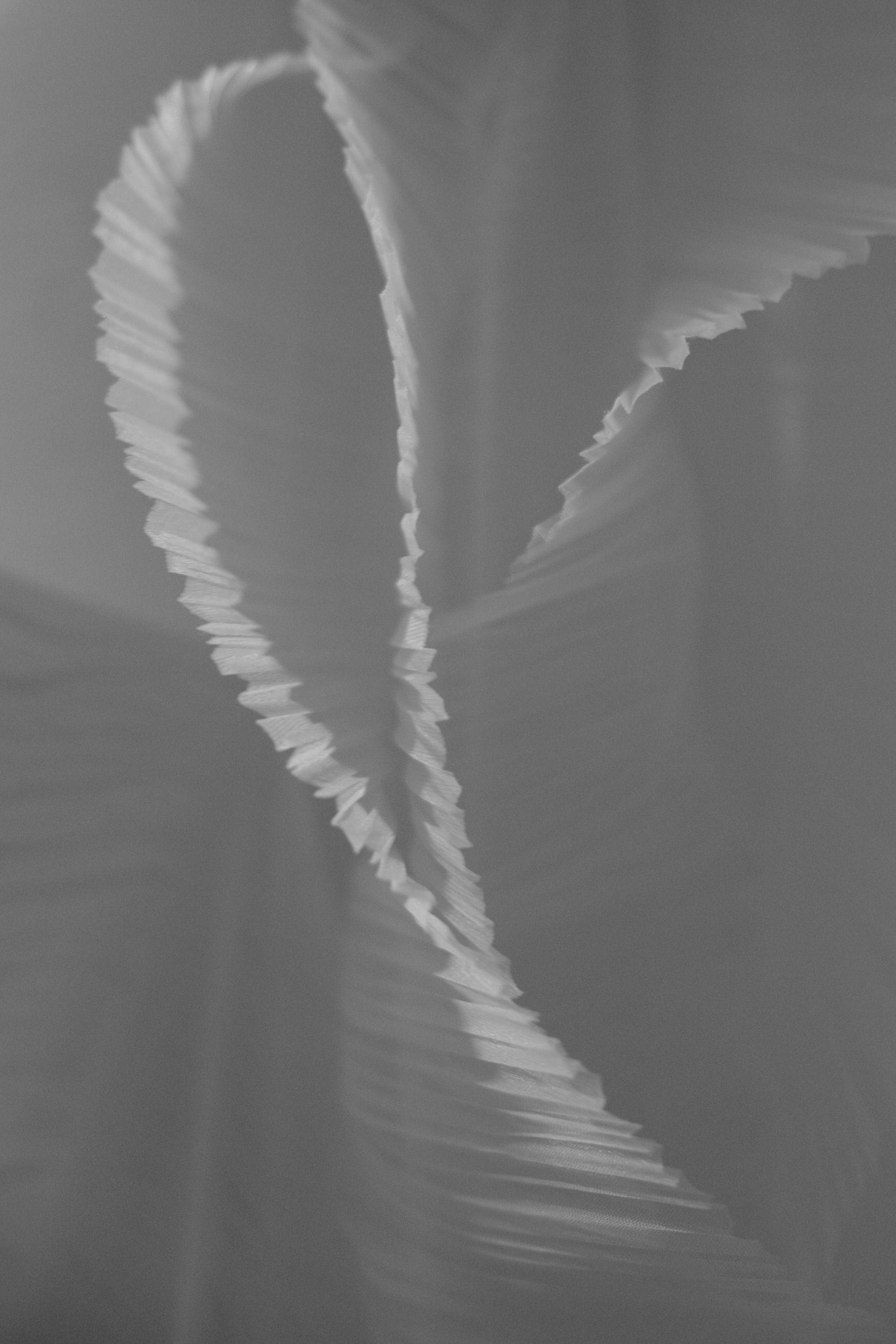 Юлия & Иван. Yura Rush Свадебный фотограф Тюмень