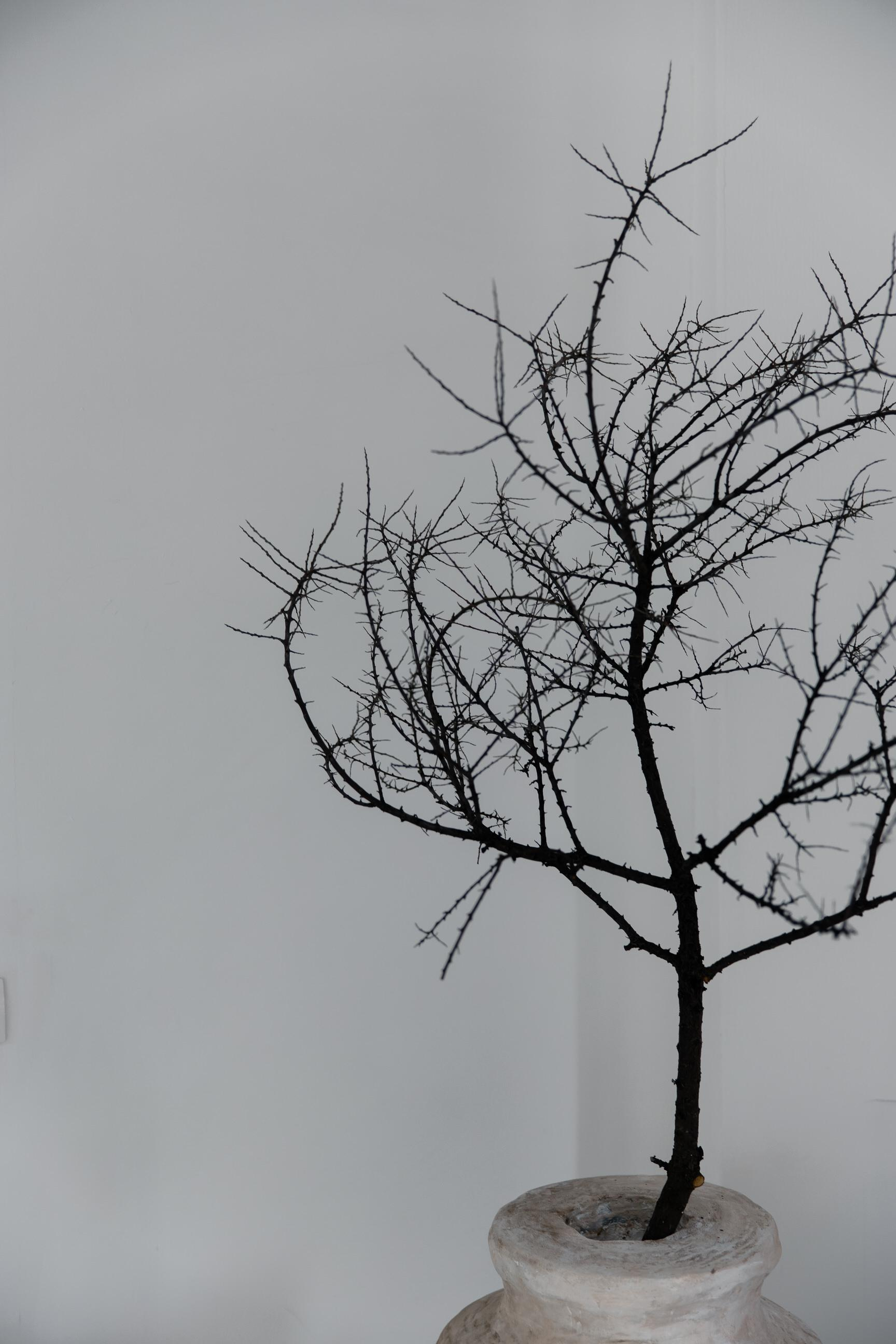 Марина & Григорий. Yura Rush Свадебный фотограф Тюмень