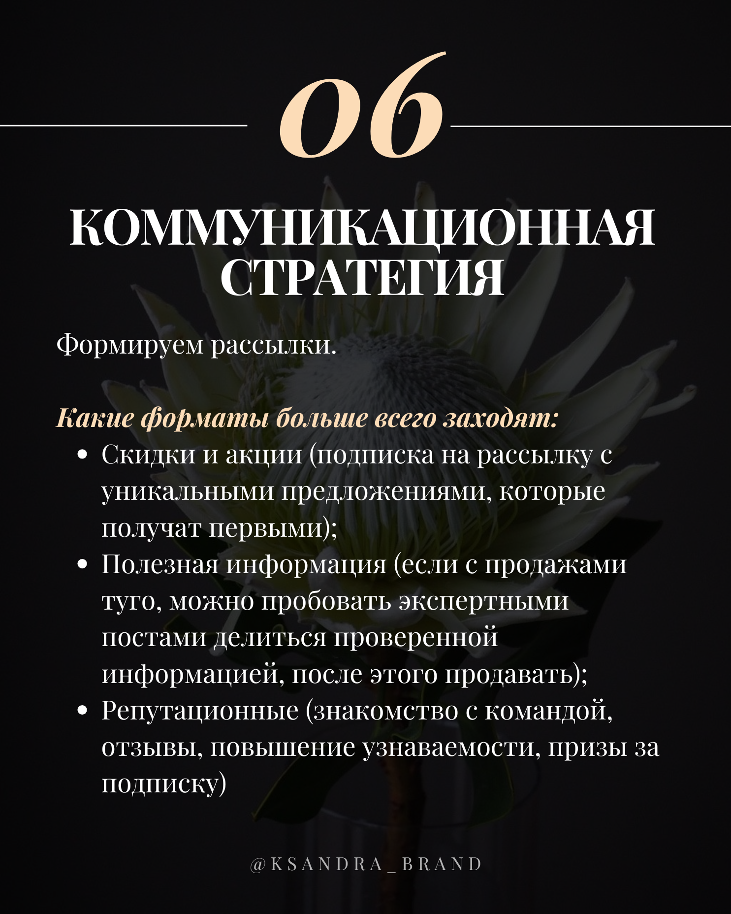 Практическое руководство: «Создание стратегии продвижения в соцсетях на 2025 год
