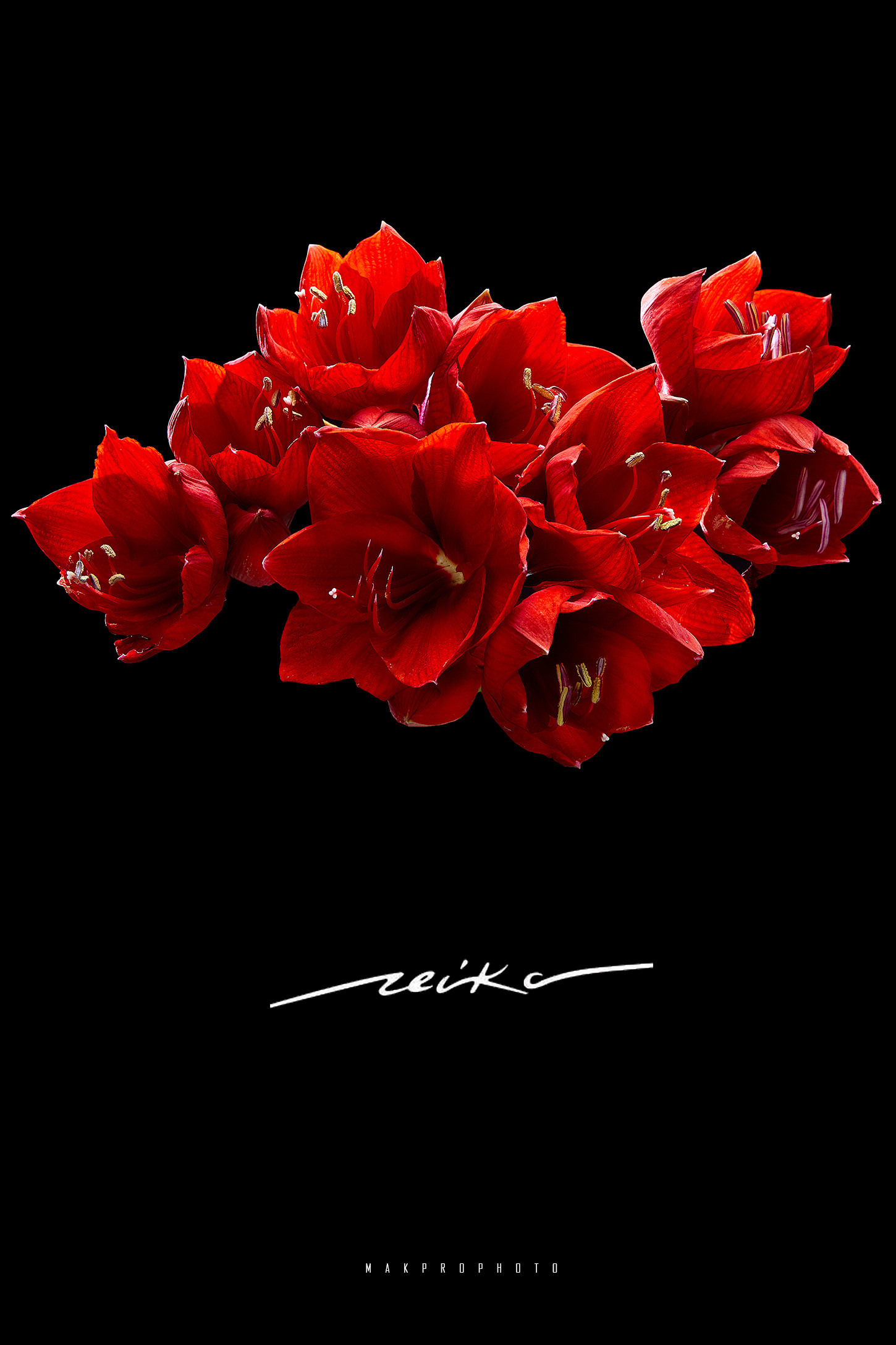 Предметная и рекламная фотография