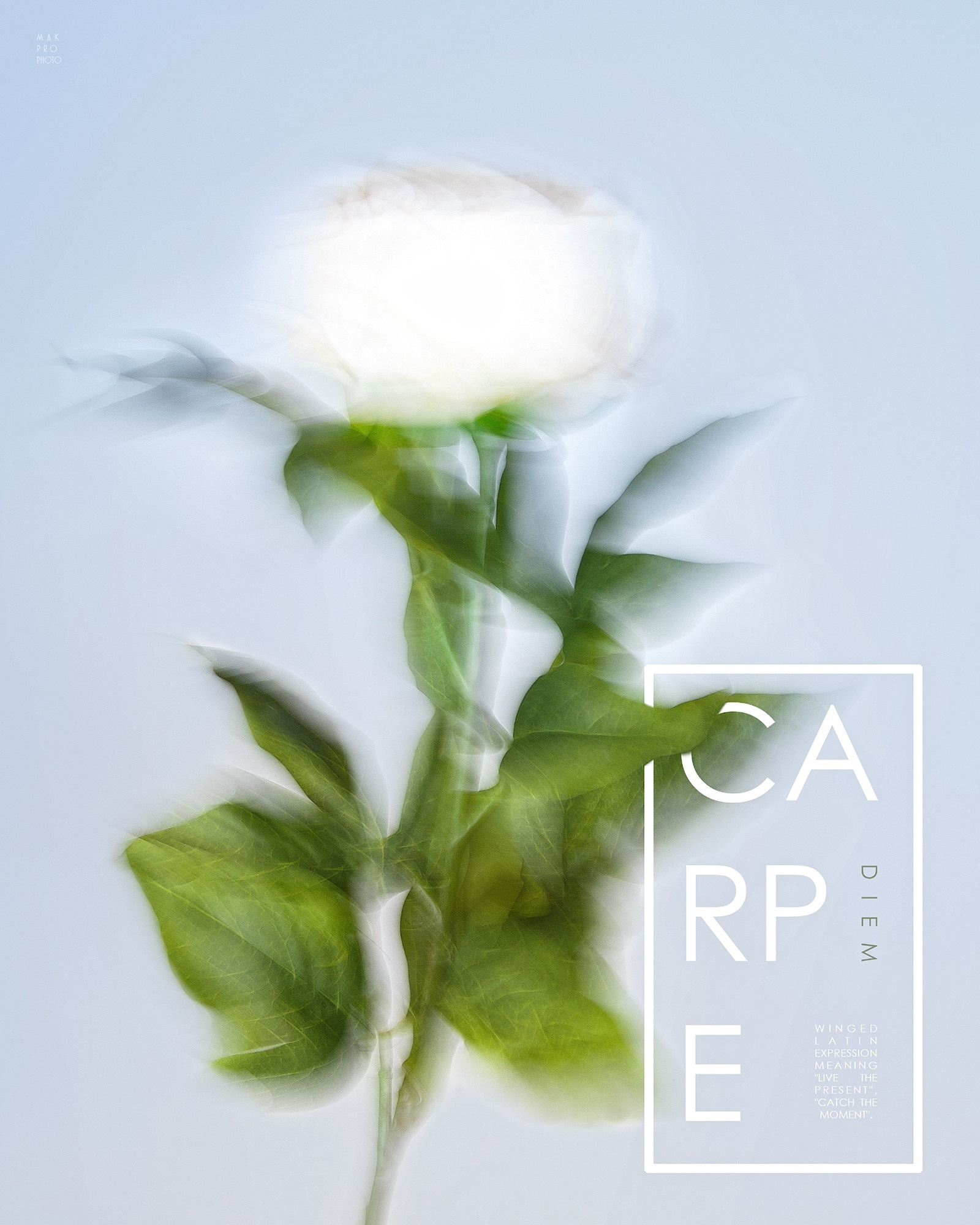 Предметная и рекламная фотография