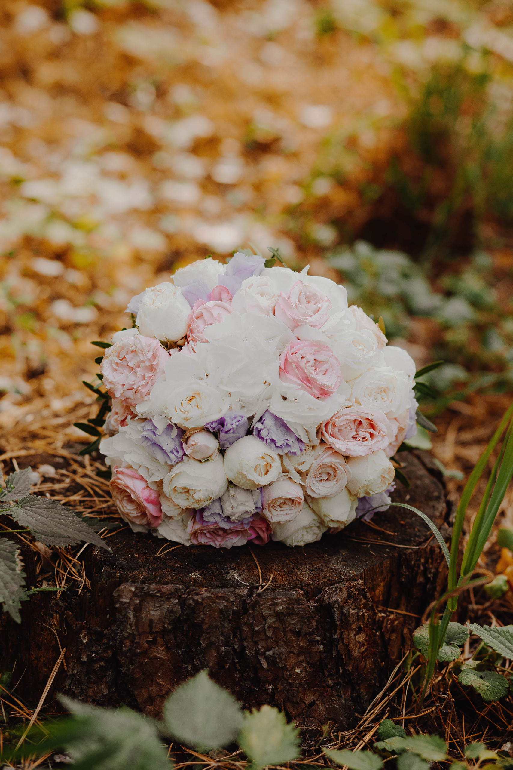 Olesya & Aleksey. Фотостудия SVET в Курске - Фотограф Светлана Кобелева