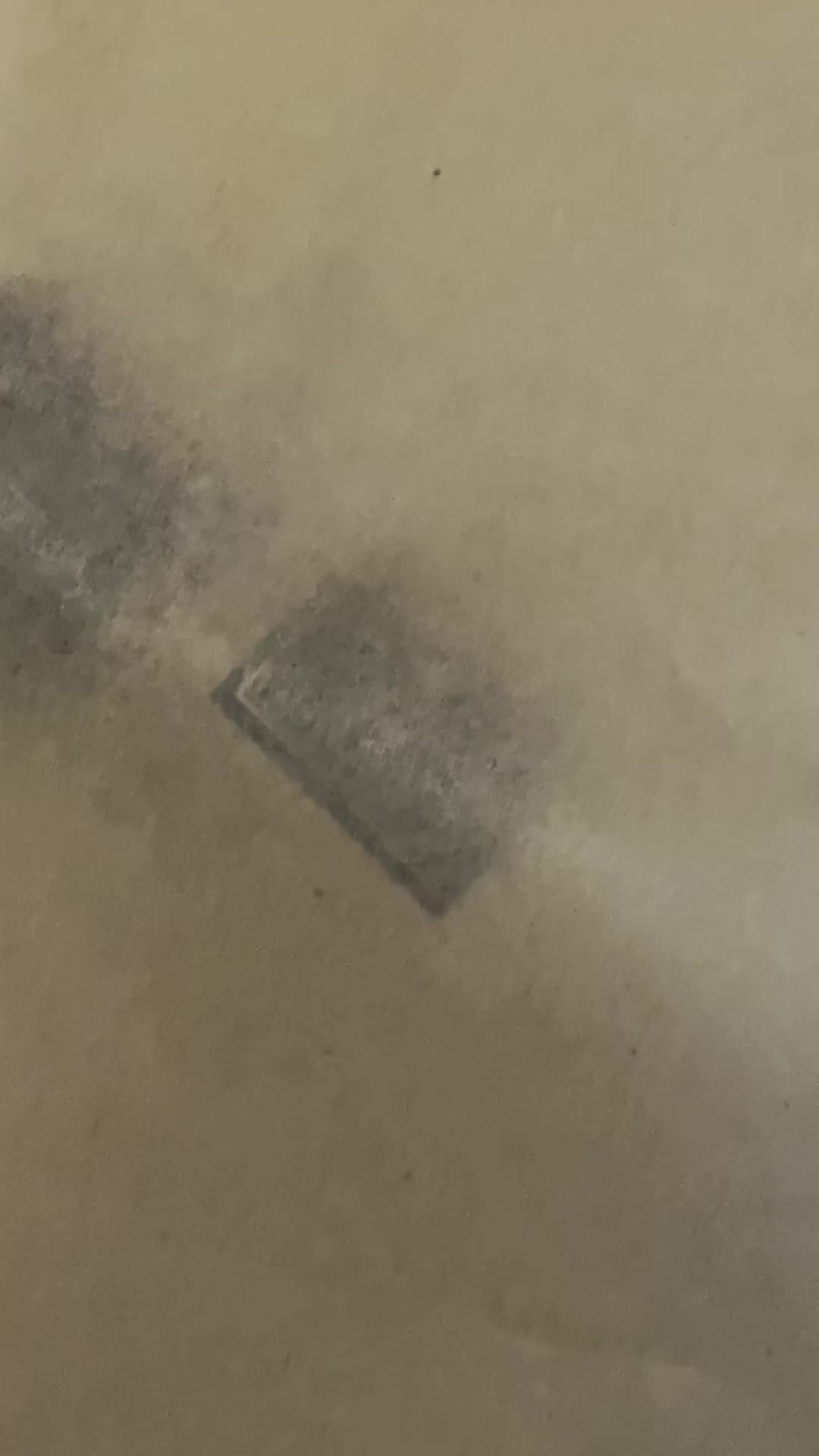 Сними себя. Наставник по мобильной съемке и фотограф Тула Новомосковск