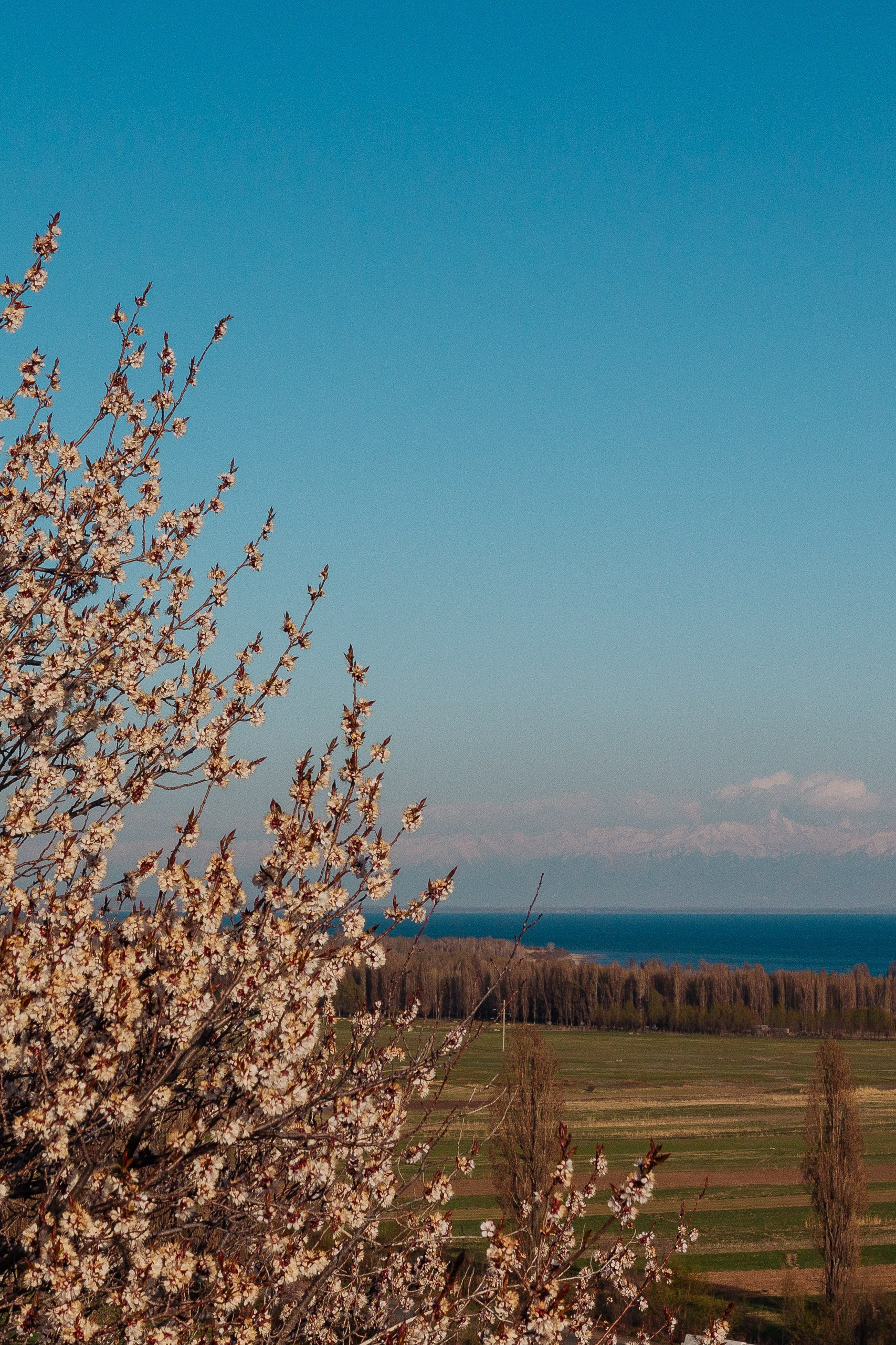 Пейзаж. Валентин Гальетов — репортажный и портретный фотограф в Чебоксарах