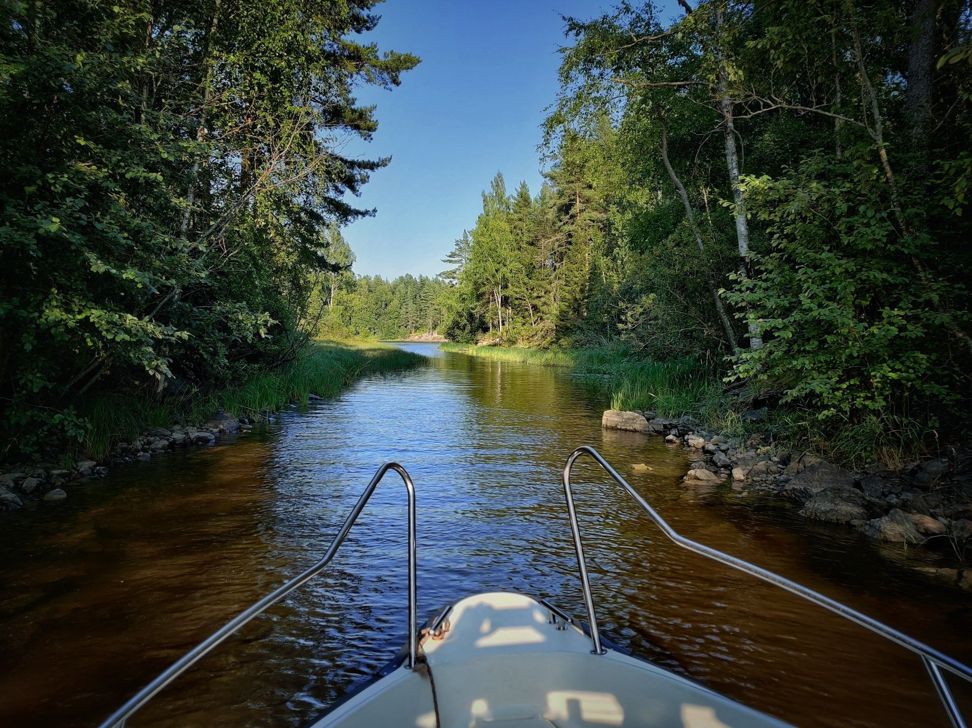 Прогулка на катере по узкому каналу среди густого леса, спокойная атмосфера