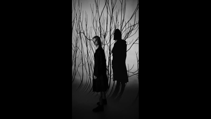 ВОЗМОЖНОСТИ СТУДИИ