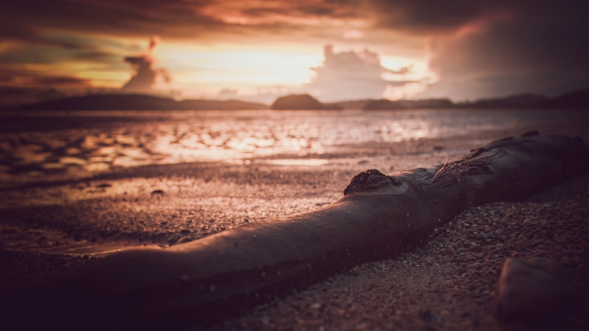 Ню Фотограф Александр Касымов Москва, фотосессии, Химки фотограф