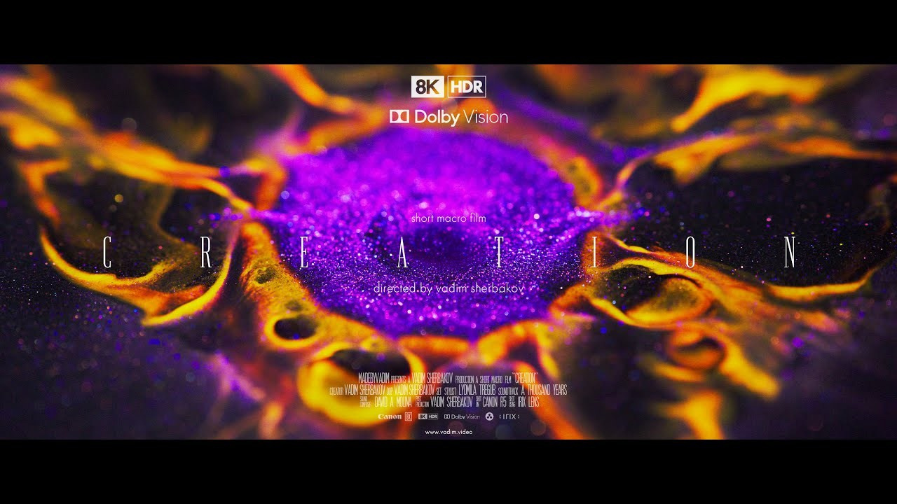 Short films in 8K. Short films by Vadim Sherbakov