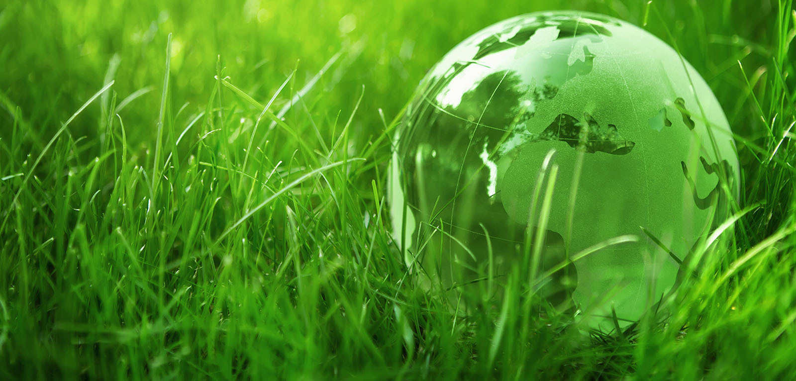 Контактная информация. Pura Terra — приём вторичного сырья в Евпатории