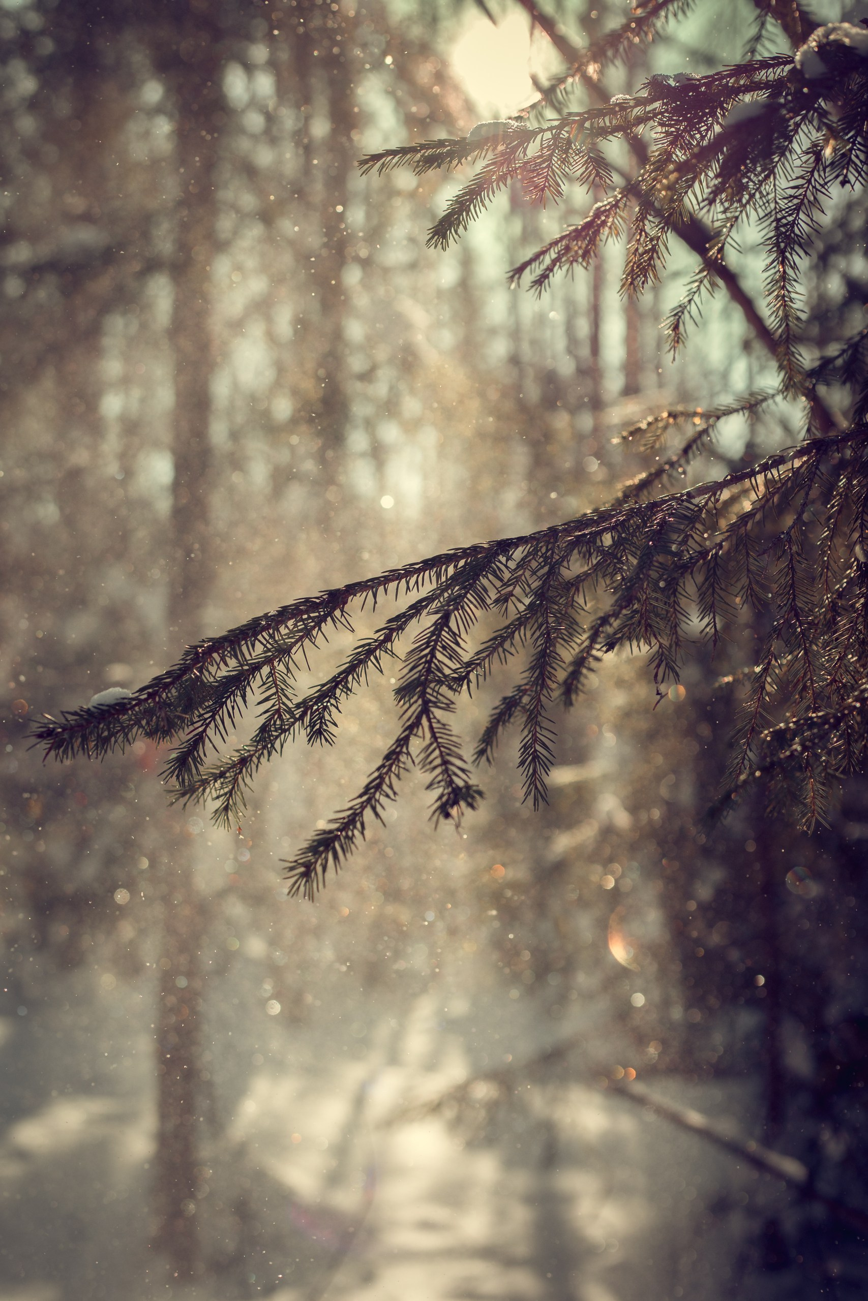Живите настоящим!. Семейный и детский фотограф в Перми Юдинцева Юлия