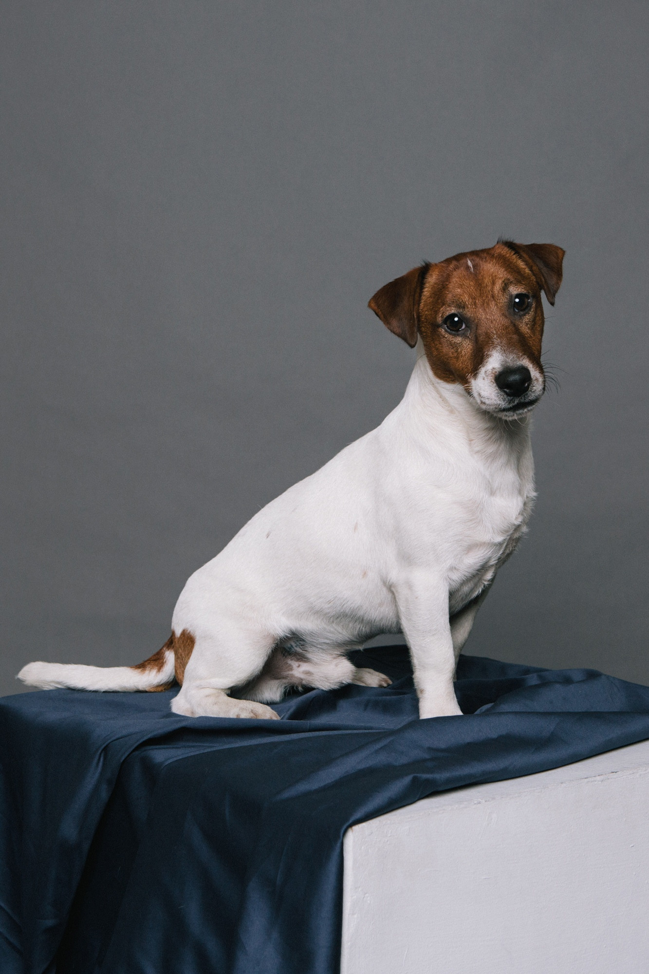 Ольга Кардашова