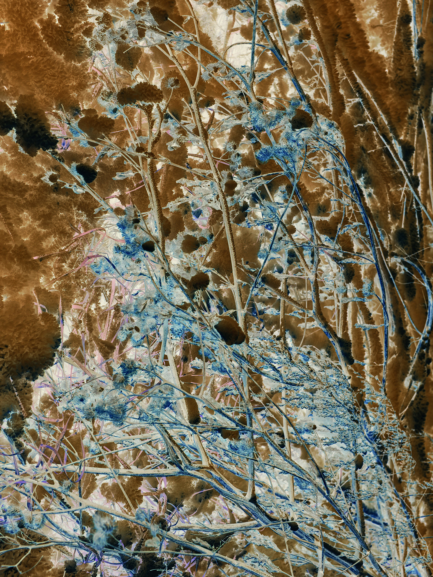 Выставка ''Черный ящик'' с 16 марта по 16 апреля 2021 года