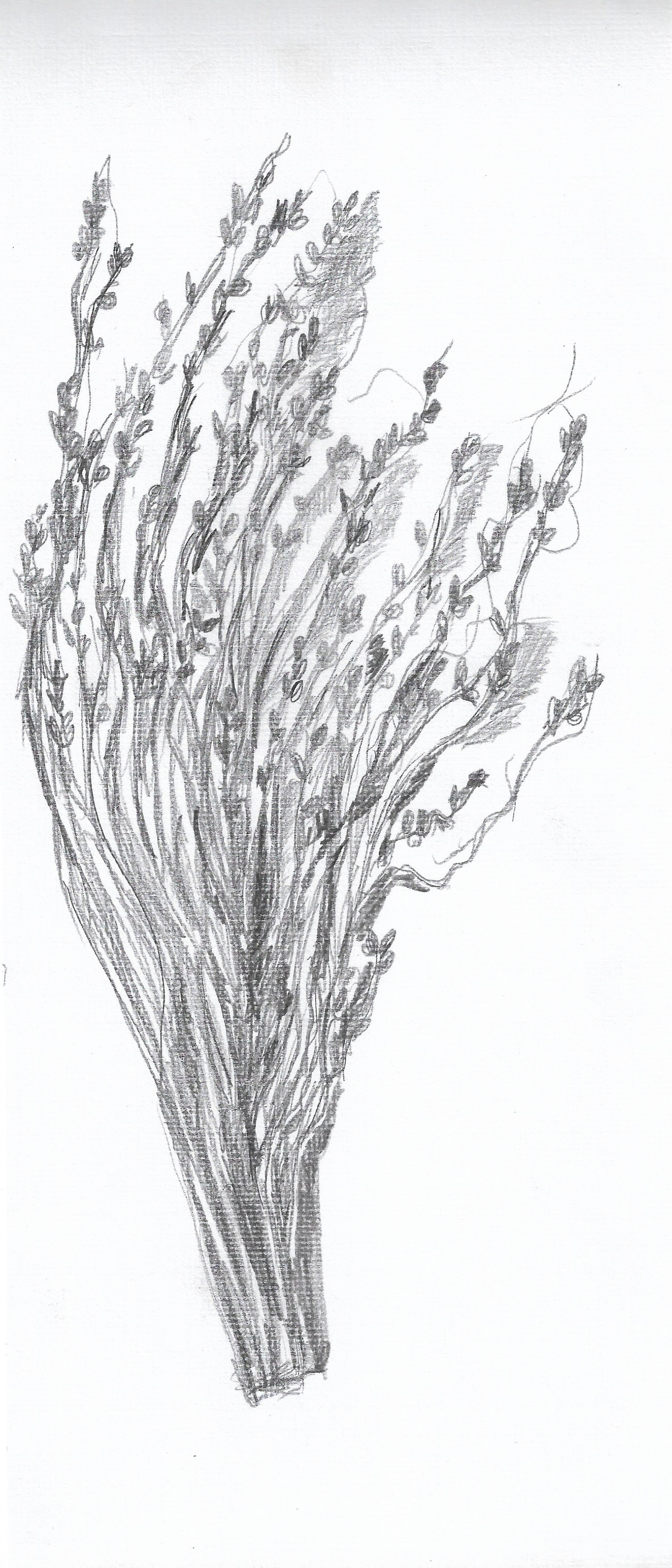 Выставка ''Черный ящик'' с 16 марта по 16 апреля 2021 года