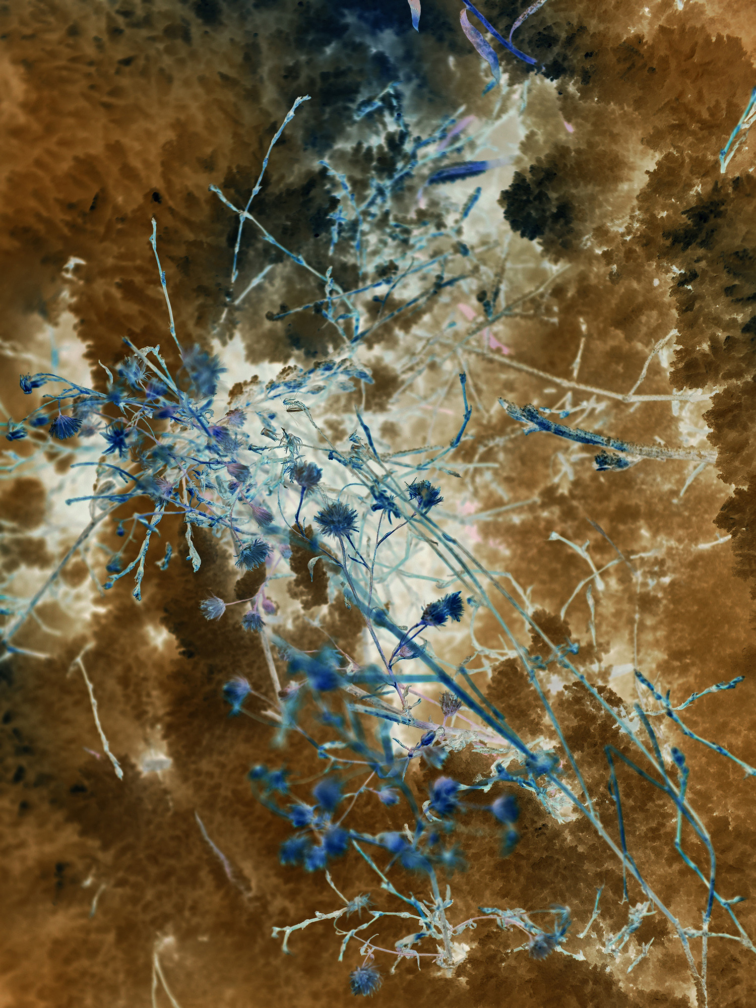 Выставка ''Черный ящик'' с 16 марта по 16 апреля 2021 года