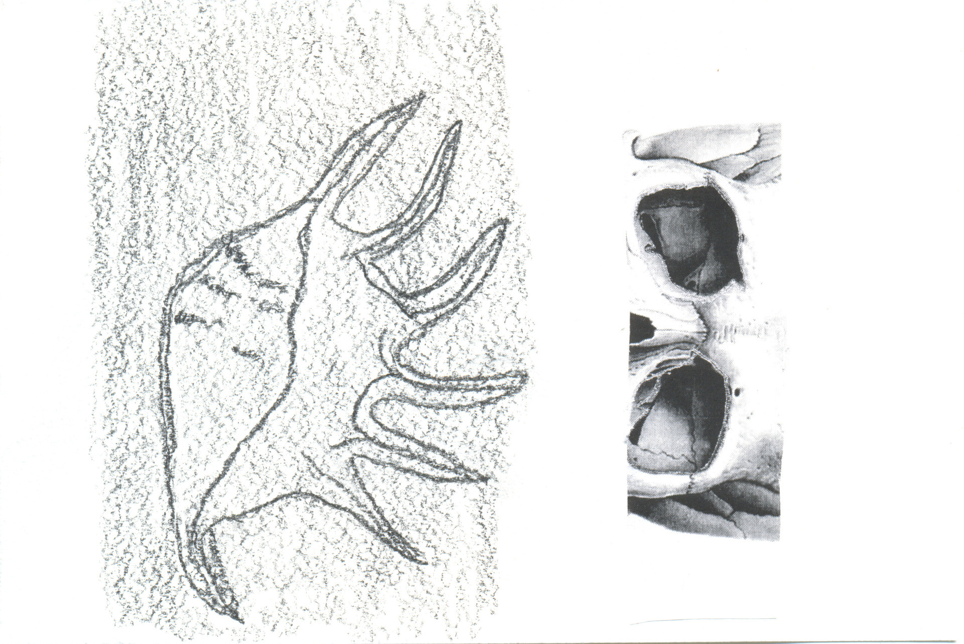 Выставка ''Черный ящик'' с 16 марта по 16 апреля 2021 года