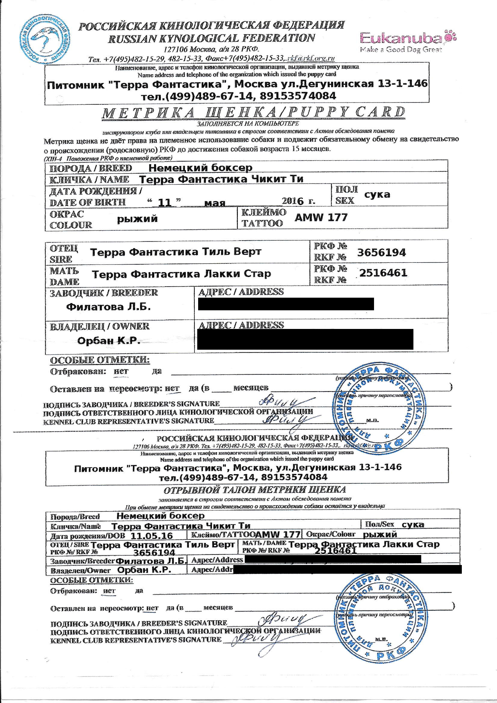 Ольга Кардашова