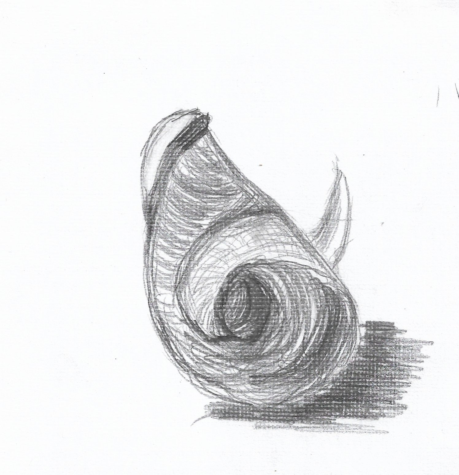 Выставка ''Черный ящик'' с 16 марта по 16 апреля 2021 года