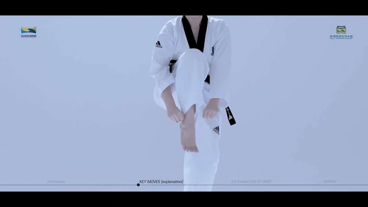 Видео обучение — Пхумсе taegeuk 7 Jang тхэквондо втф красный пояс 2й гып. Тхэквондо для детей и взрослых в Омске
