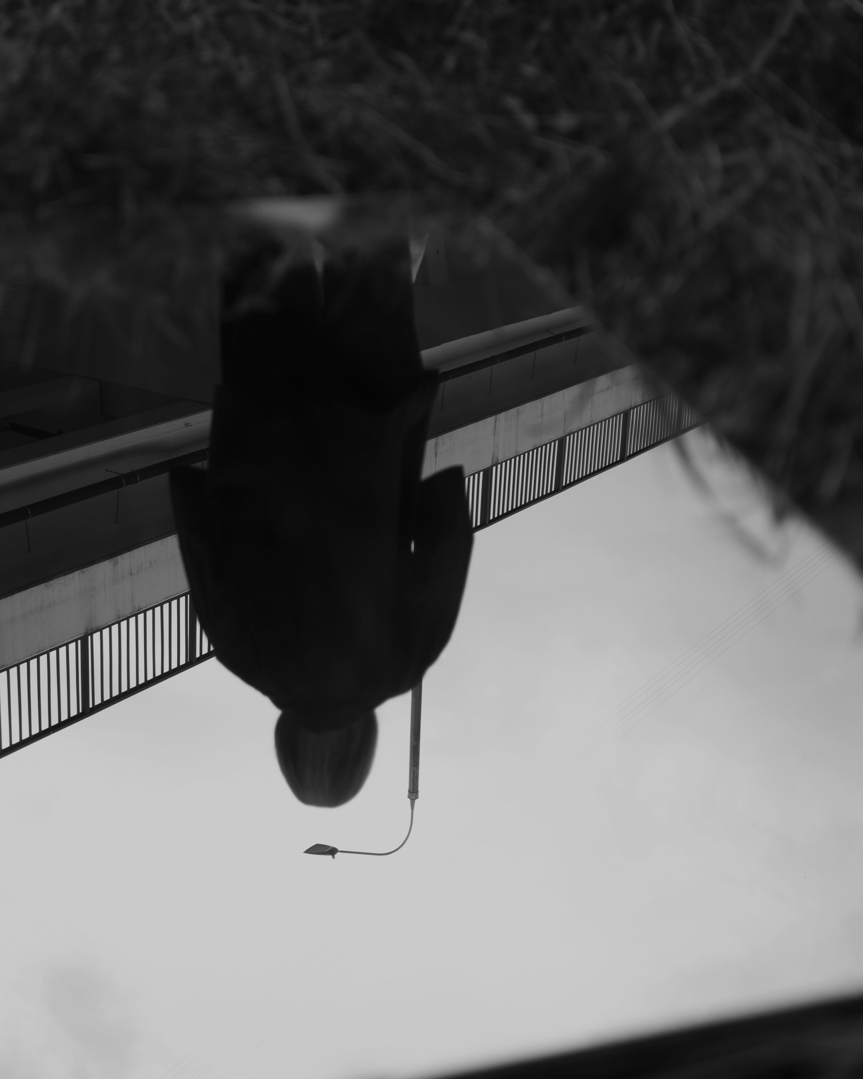 Стоимость. Портретный фотограф в Москве Евгения Яковенко